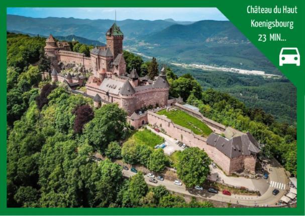 Grenier Des Cigognes Apartment Sélestat Екстериор снимка