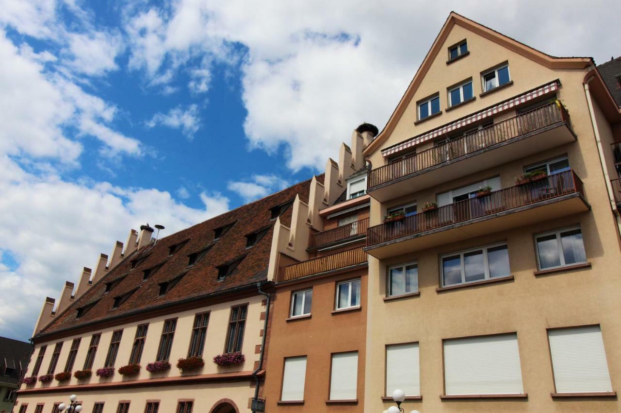 Grenier Des Cigognes Apartment Sélestat Екстериор снимка